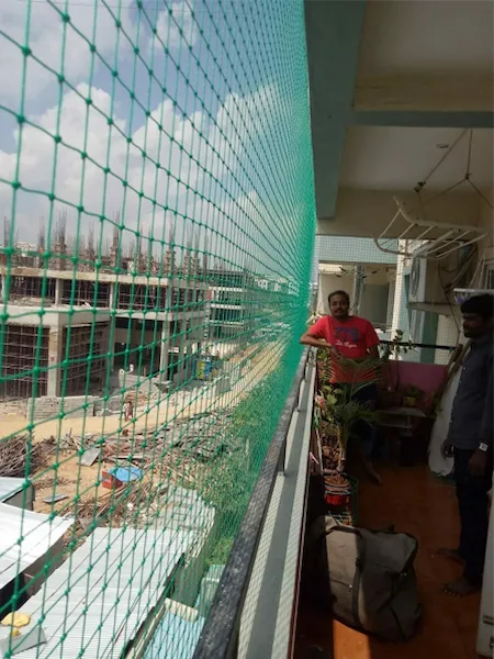 pigeon Safety Nets